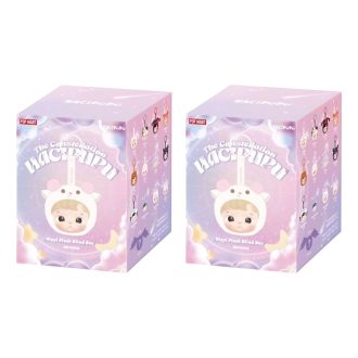 Carcasă sigilată cu pandantiv din vinil Hacipupu Constelația (2 cutii oarbe)