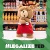 Figurină de pluș Ted2-ted