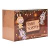 Labubu Monștrii Atelierul de Timber Jucându-se pe leagăn Pandantiv Pop Land Exclusive Cutie sigilată (6 cutii jaluzele)