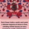 MEGA SPACE MOLLY Seria 100% Blooming – Trandafir